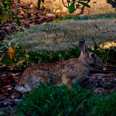 Profile Picture of DouglasOldham.Photography (@DouglasOldham5) on Twitter