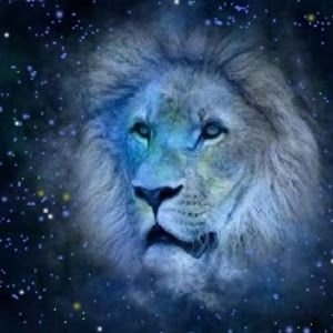 Profile Picture of LEON TRIP (@leontrip0) on Tiktok