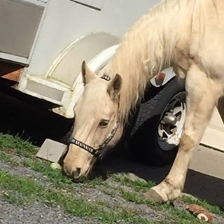 Profile Picture of Tammy Tobey (@tammy.tobey.39) on Facebook