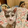 Profile Picture of This is muffy (@garywainwright682) on Tiktok