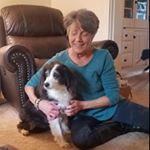 Profile Picture of Kim Lang (@langkim) on Instagram