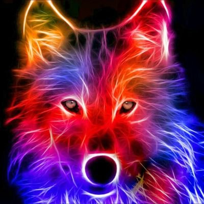 Profile Picture of Richard Gobel (@9eb02ba1cbbc498) on Twitter