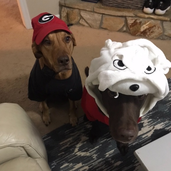 Profile Picture of Katie Jeppesen (@katiejepp) on Poshmark