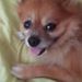 Profile Picture of Michael Aprile (@michael_aprile) on Pinterest
