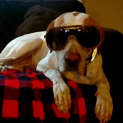 Profile Picture of Joe Rhodes (@jbrhodes6) on Twitter