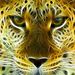 Profile Picture of RiDdLe N (@ninastepien1968) on Pinterest
