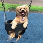 Profile Picture of Cocoa Davis (@cocoanyhla) on Instagram