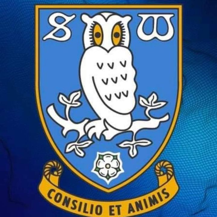 Profile Picture of J (@jasonowls) on Tiktok