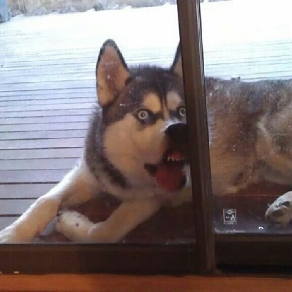 Lori Obriant - Poshmark Profile Picture of Lori Obriant (@lobriant) on Poshmark