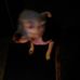 Profile Picture of Darryl Huggins (@darryl.huggins.581) on Facebook