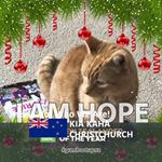 Profile Picture of Donna Hansen (@donna.hansen.984349) on Instagram