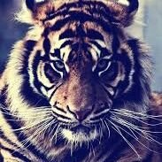 Lilian Roque - Twitter Profile Picture of Lilian Roque (@LilianRoque08) on Twitter