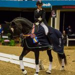 Profile Picture of Heather McCarthy (@mccarthy_dressage) on Instagram