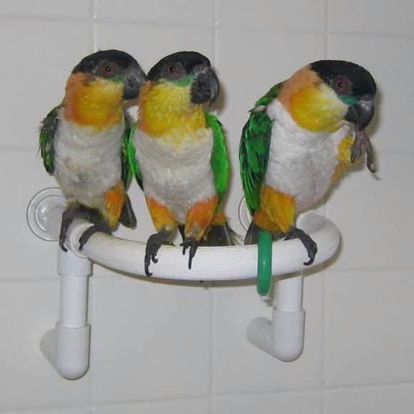 Kathy Pietig - Poshmark Profile Picture of Kathy Pietig (@kathy_pietig) on Poshmark