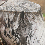 Profile Picture of zhang xin (@zhangxin44827) on Flickr