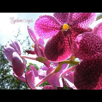 Profile Picture of Wally Myron (@WallyMyron522) on Twitter