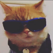 Profile Picture of Carlos Short  (@Realalucin6) on Youtube