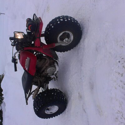 Profile Picture of Alexandre Savoie (@savoie99) on Twitter
