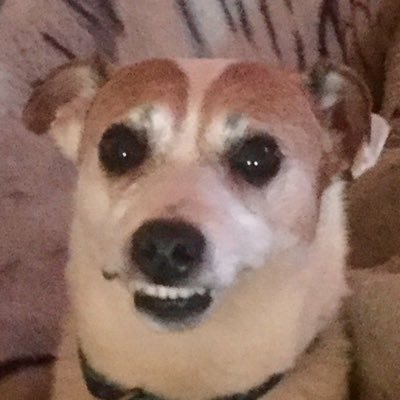 Profile Picture of Eric Fritton (@eric_fritton) on Twitter