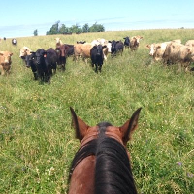 Profile Picture of Ron Stevenson (@01stever) on Twitter