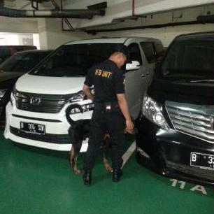 Profile Picture of Dani Bruce Ter (@ter_bruce) on Twitter