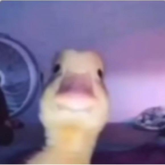 Profile Picture of John Roguer (@aspectfromdao) on Poshmark