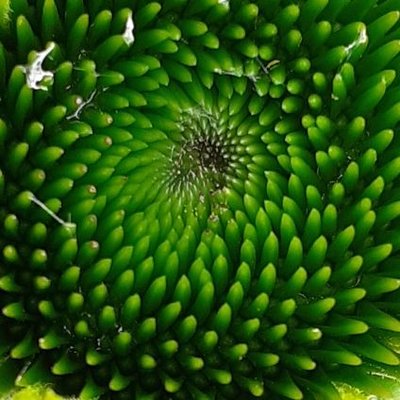 Profile Picture of Richard Beard (@richbeard) on Twitter