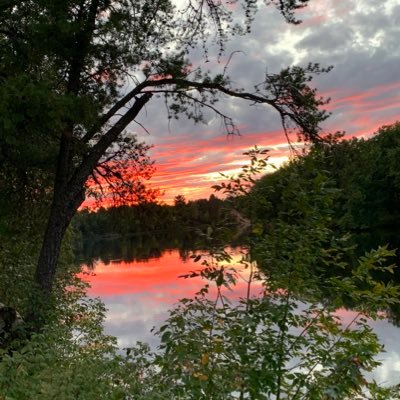 Profile Picture of Chris Cherney (@ccherney) on Twitter