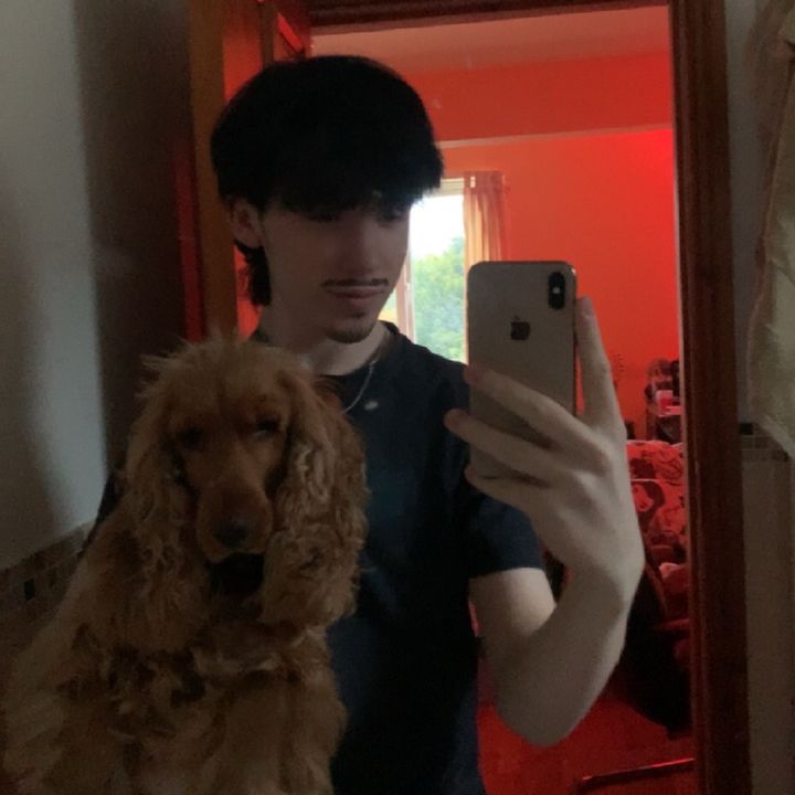 Profile Picture of Adam hall (@adam_.hall) on Tiktok