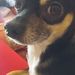 Profile Picture of Janey Phillips (@janeyphillips60) on Pinterest
