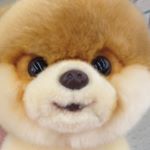 Profile Picture of 🎀hailey Denise Brannock💗 (@luvjoeyb89) on Instagram