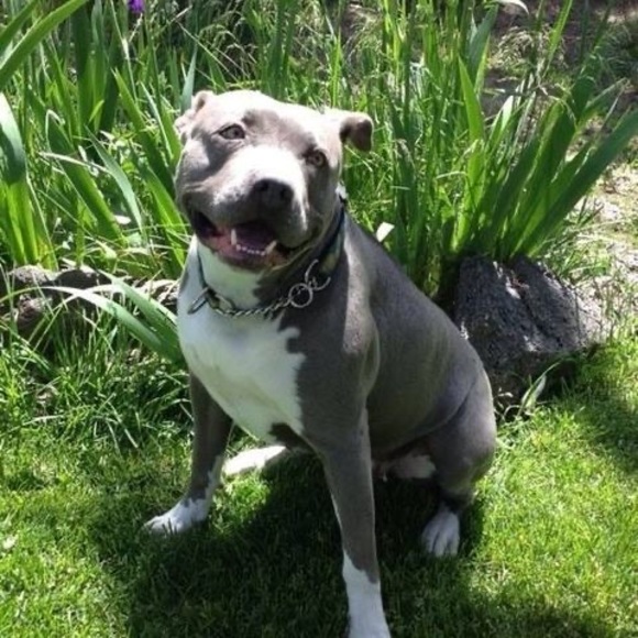 Jerry Dulek - Poshmark Profile Picture of Jerry Dulek (@jdulek) on Poshmark