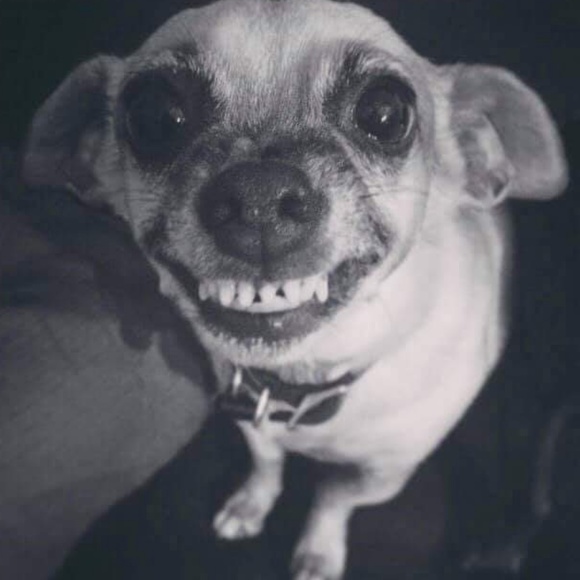 Profile Picture of Christian Blunt (@christianblunt3) on Poshmark