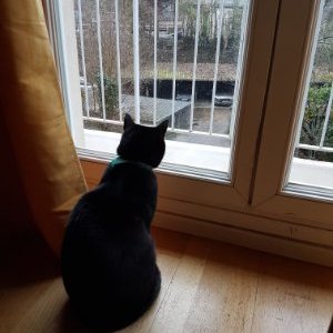 Profile Picture of PAUL JEAN COPPENS (@PAULJEANCOPPEN1) on Twitter