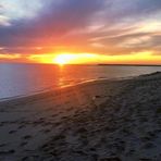 Profile Picture of Oliver R Shelly (@Oliver-R-Shelly) on Facebook