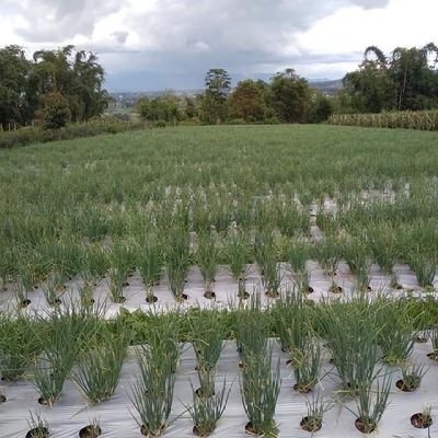 Profile Picture of Denny Victor (@dynnegetlucky) on Twitter