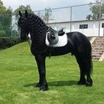 Profile Picture of Osiel Lopez (@osiel2053) on Instagram