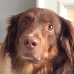 Profile Picture of Benjamin Amaral (@supbigtuna) on Instagram