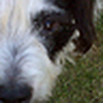 Joey Black - Flickr Profile Picture of Joey Black (@xblackx1992) on Flickr