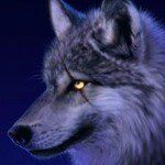 Profile Picture of Scott Mcquiston (@scottmcquiston) on Instagram