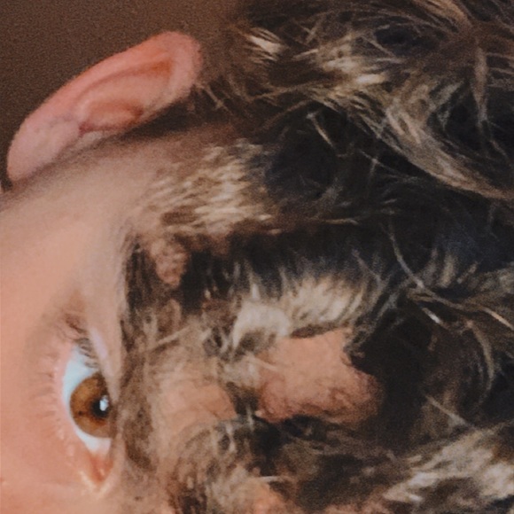 Profile Picture of Michael Pallottini (@m_pallottini) on Poshmark