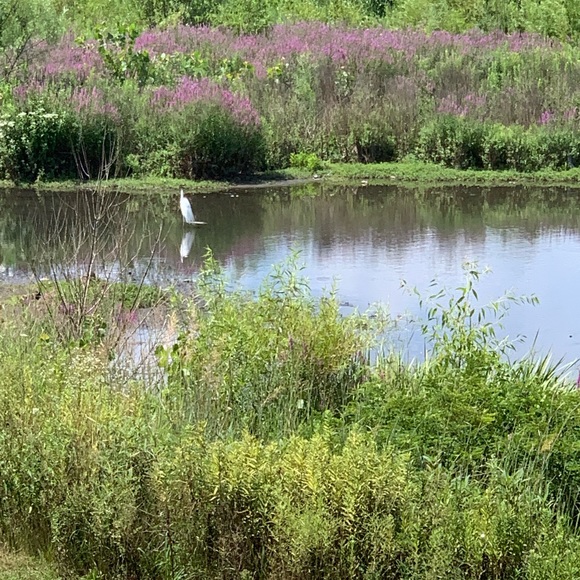 Profile Picture of Portia Thomas (@pcthomas79) on Poshmark