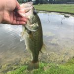 Profile Picture of Devon Thornton (@devonthornton39) on Instagram