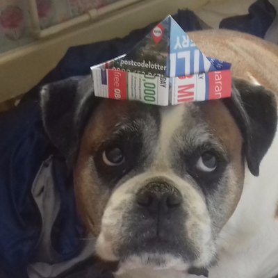 Profile Picture of Bryon Perry (@PerryBryon) on Twitter