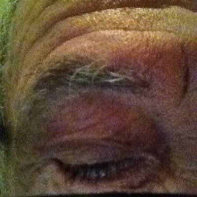 Steve Watson - Twitter Profile Picture of Steve Watson (@punt4piss) on Twitter