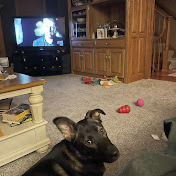 Profile Picture of Leon Fournier (@leonfournier) on Youtube