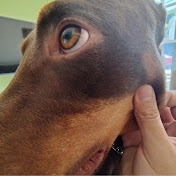 Profile Picture of Erik Resendiz (@erikresendiz8814) on Youtube