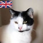 Profile Picture of Jacob Patty (@jacob5702601) on Instagram