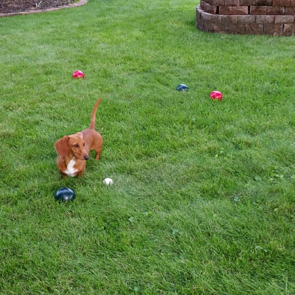 Profile Picture of Kara Reliford (@klreliford13) on Poshmark