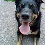 Karen Tolley - Instagram Profile Picture of Karen Tolley (@kazandkeith) on Instagram